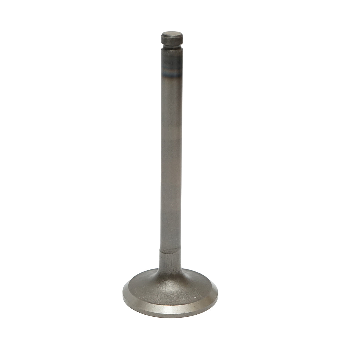 Perkins engine intake valve for Massey Ferguson, Landini, JCB OEM code 02200050, 739027M1, 31431641, 31431315, 02/200863, 31431103, 3639878M1